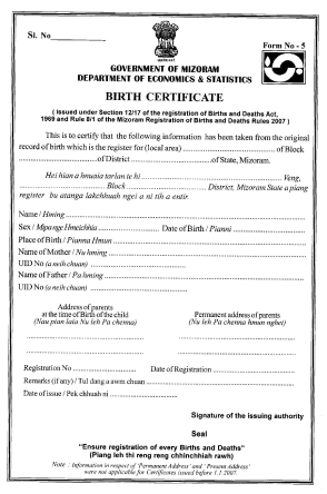 birth certificate download mizoram
